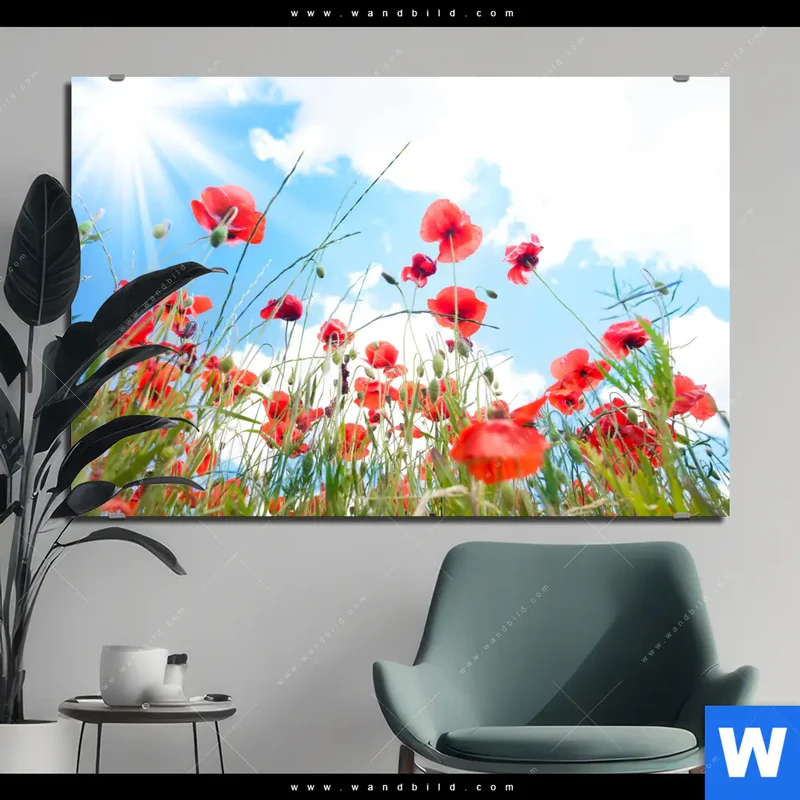 Aluminiumbild gebürstet | Mohnblüten unter sommerlichem Himmel | Querformat