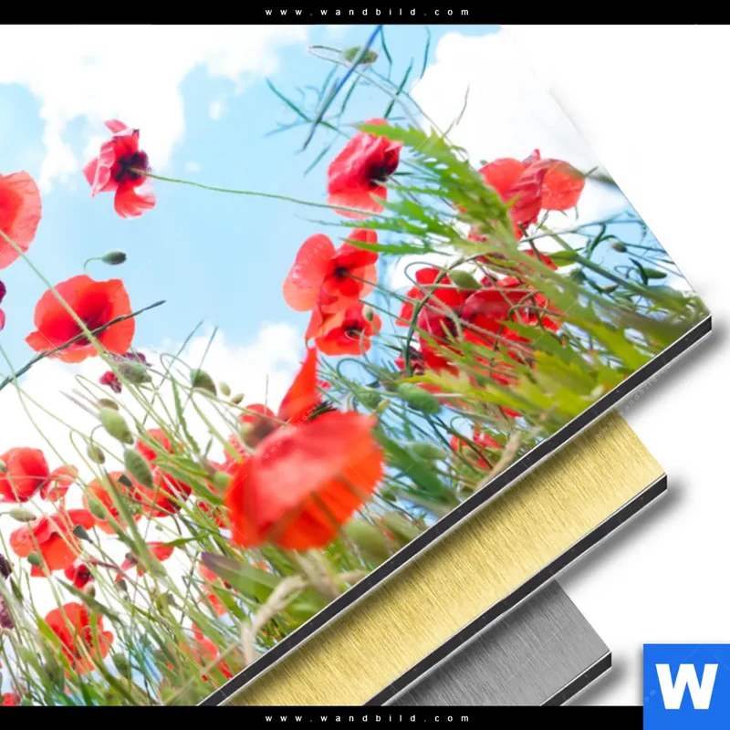 Aluminiumbild gebürstet | Mohnblüten unter sommerlichem Himmel | Querformat