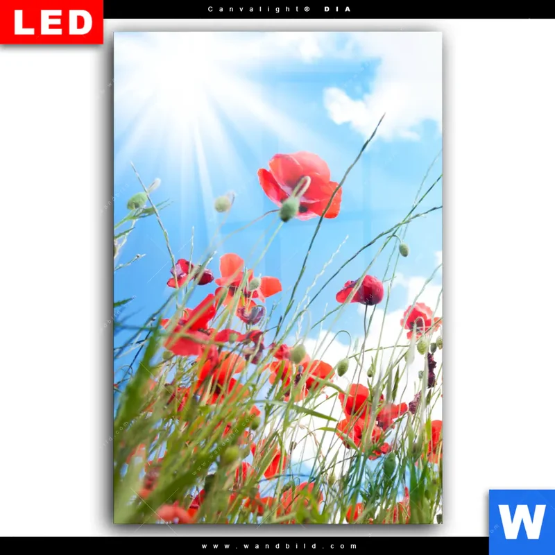 Wechselmotiv Acrylglas Canvalight® DIA | Mohnblüten unter sommerlichem Himmel | Hochformat