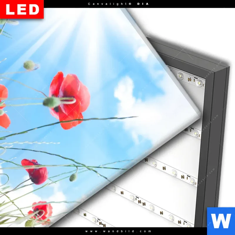 Wechselmotiv Acrylglas Canvalight® DIA | Mohnblüten unter sommerlichem Himmel | Hochformat