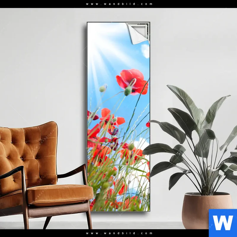 Spannbild | Mohnblüten unter sommerlichem Himmel | Schmal