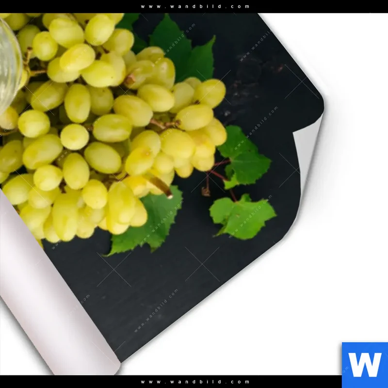 Poster | Trauben | Wein | Tradition | Schmal