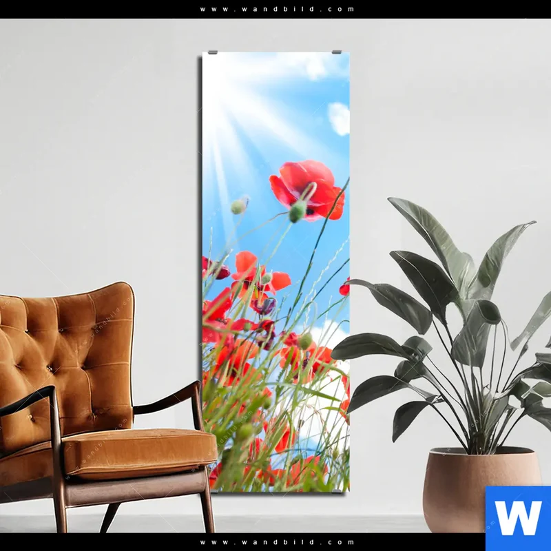 Alu-Dibond Bild | Mohnblüten unter sommerlichem Himmel | Schmal