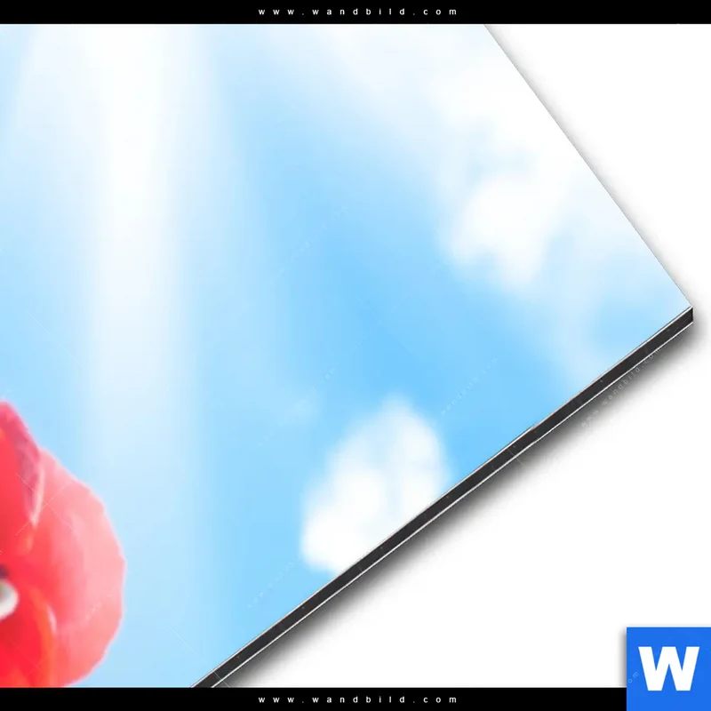Alu-Dibond Bild | Mohnblüten unter sommerlichem Himmel | Schmal