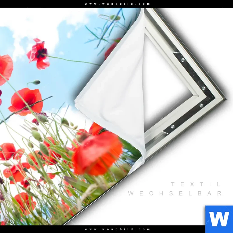 Spannbild | Mohnblüten unter sommerlichem Himmel | Querformat