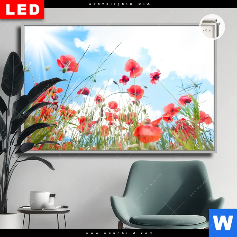 Leuchtbild Acrylglas Canvalight® DIA | Mohnblüten unter sommerlichem Himmel | Querformat