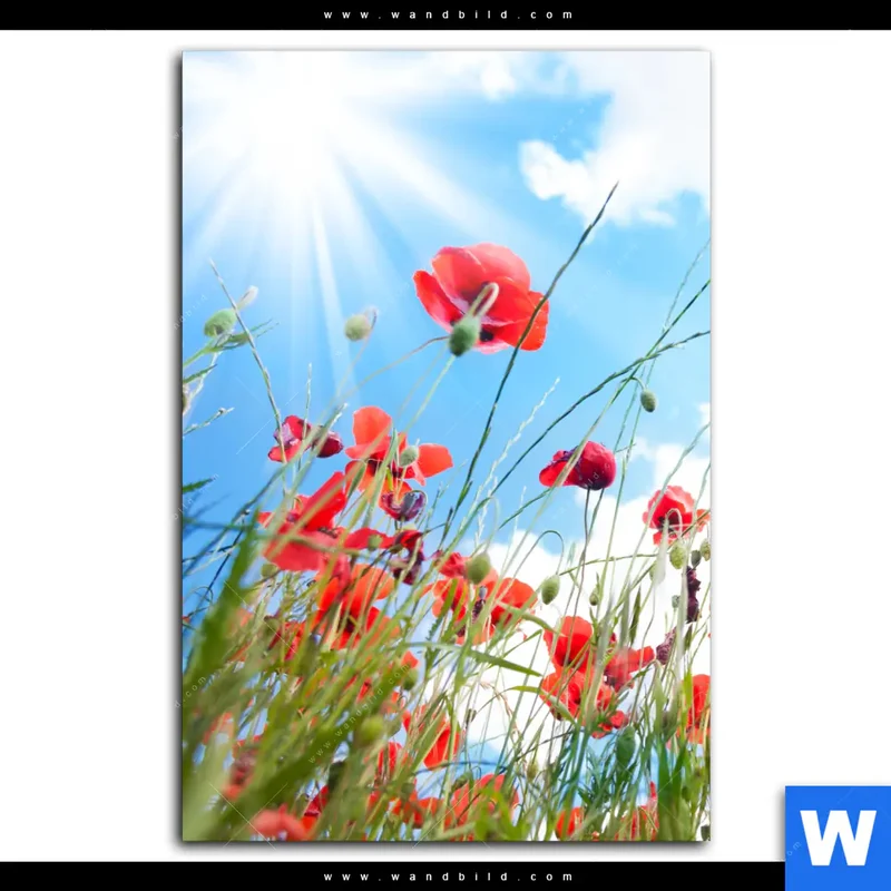 Aluminiumbild gebürstet | Mohnblüten unter sommerlichem Himmel | Hochformat