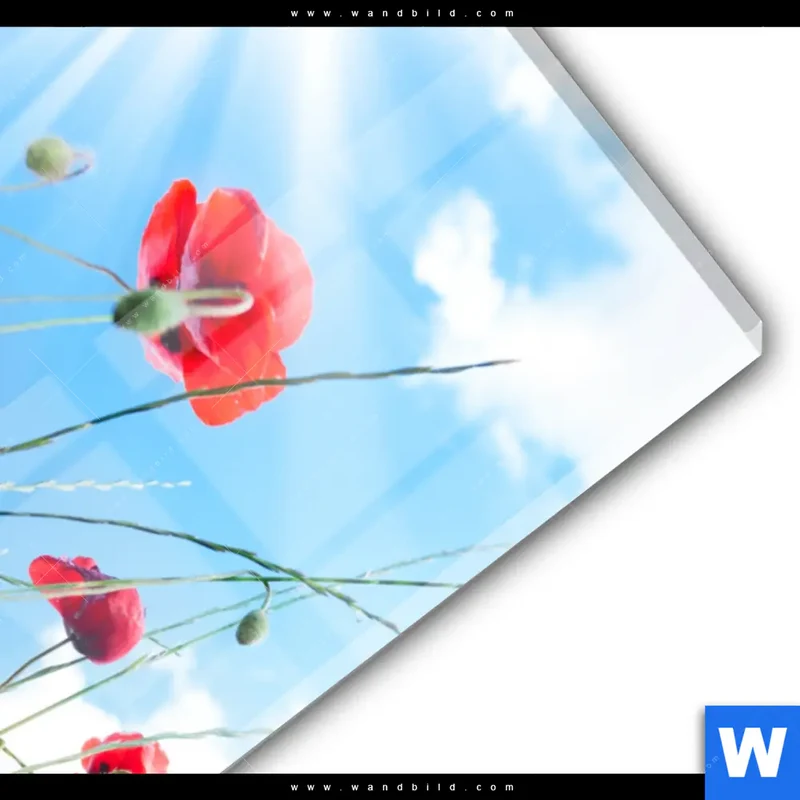 Acrylglasbild | Mohnblüten unter sommerlichem Himmel | Hochformat