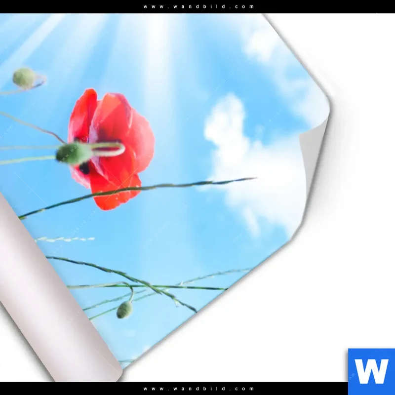 Poster | Mohnblüten unter sommerlichem Himmel | Hochformat