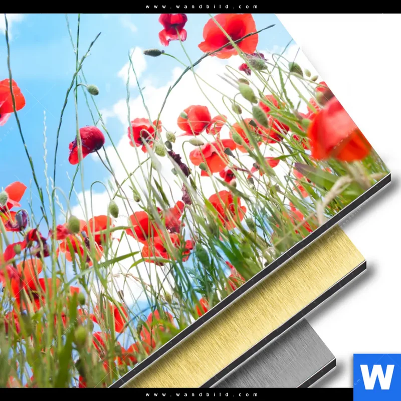 Aluminiumbild gebürstet | Mohnblüten unter sommerlichem Himmel | Rund