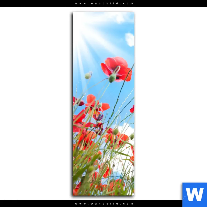 Poster | Mohnblüten unter sommerlichem Himmel | Schmal