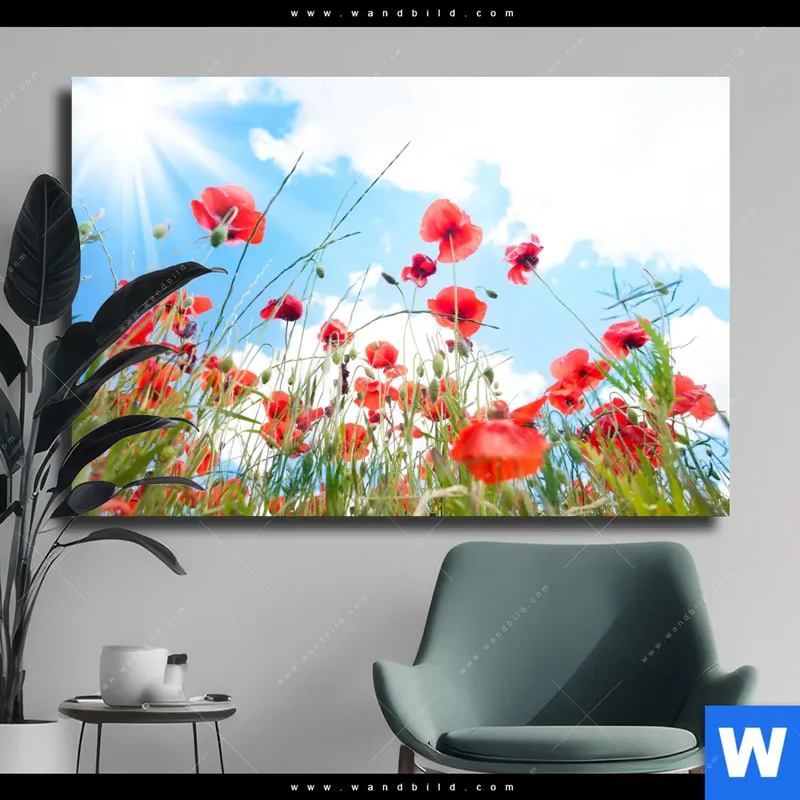 Leinwandbild | Mohnblüten unter sommerlichem Himmel | Querformat