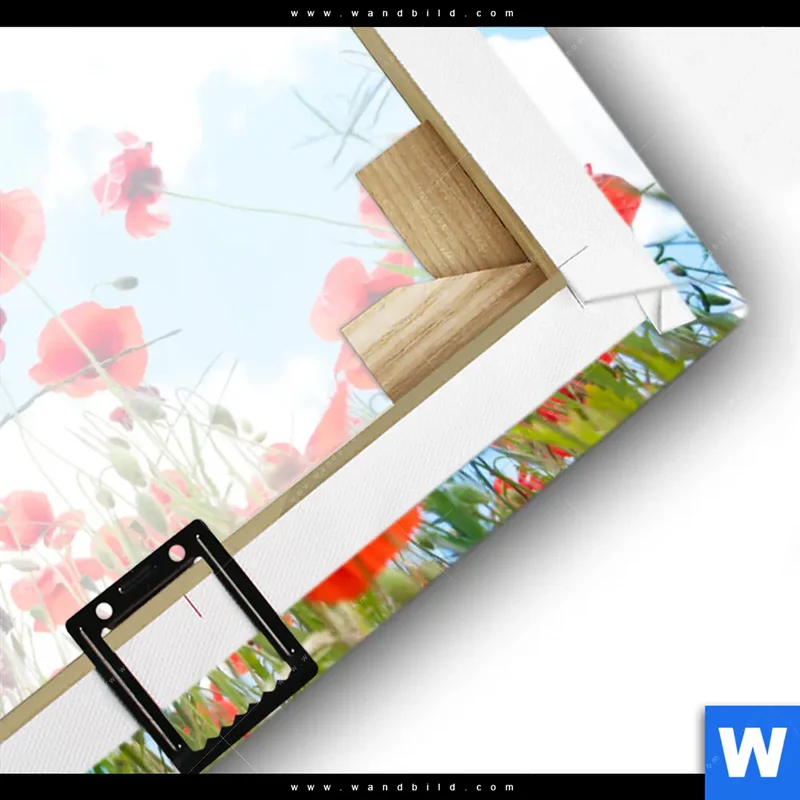 Leinwandbild | Mohnblüten unter sommerlichem Himmel | Querformat