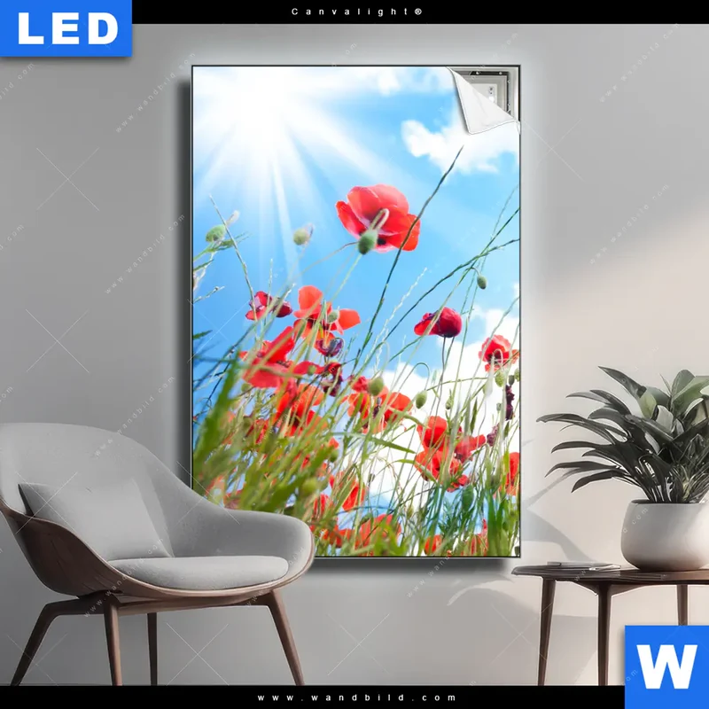 Canvalight® Leuchtbild | Mohnblüten unter sommerlichem Himmel | Hochformat