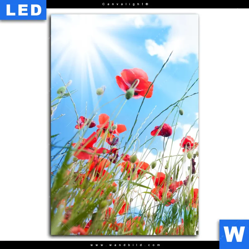 Canvalight® Leuchtbild | Mohnblüten unter sommerlichem Himmel | Hochformat