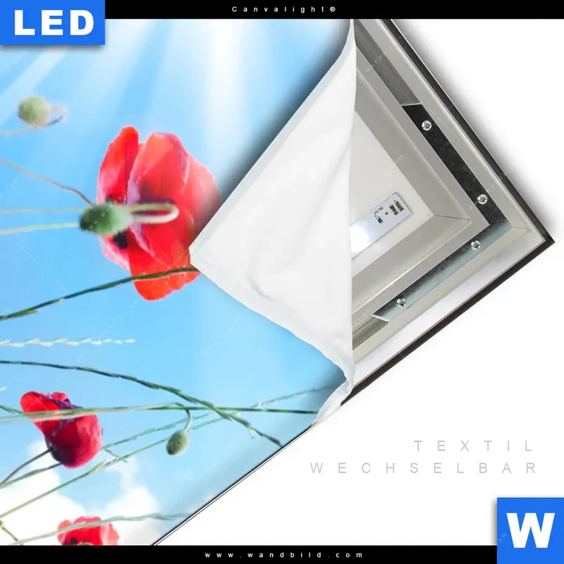 Canvalight® Leuchtbild | Mohnblüten unter sommerlichem Himmel | Hochformat