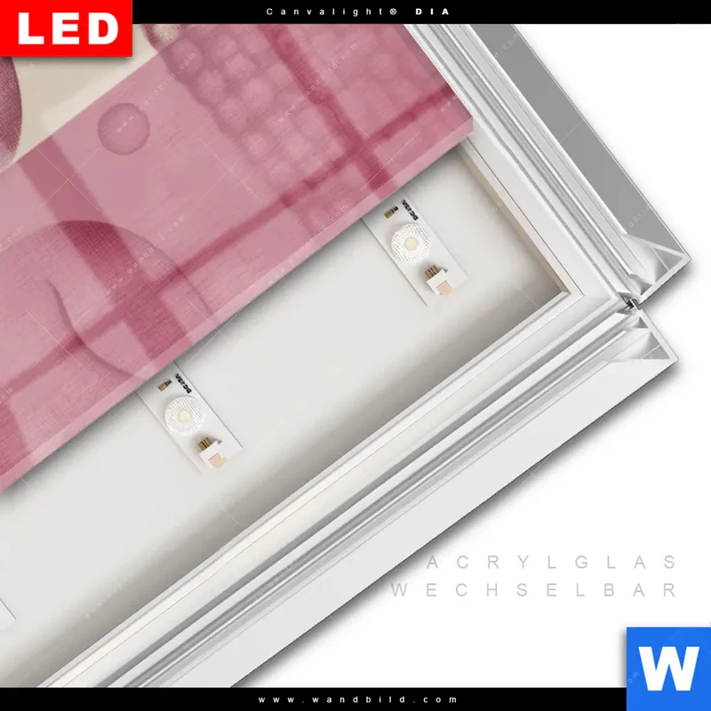 Leuchtbild Acrylglas Canvalight® DIA | Buddha in sanfter Balance | Schmal