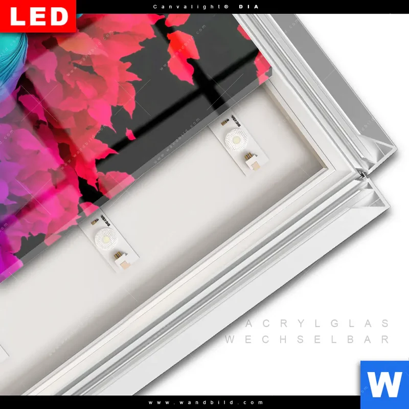 Leuchtbild Acrylglas Canvalight® DIA | Meditierender Buddha | Quadrat