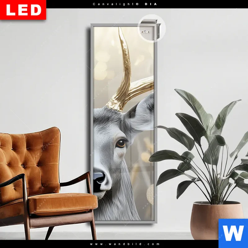 Leuchtbild Acrylglas Canvalight® DIA | Hirsch mit goldenem Geweih | Schmal