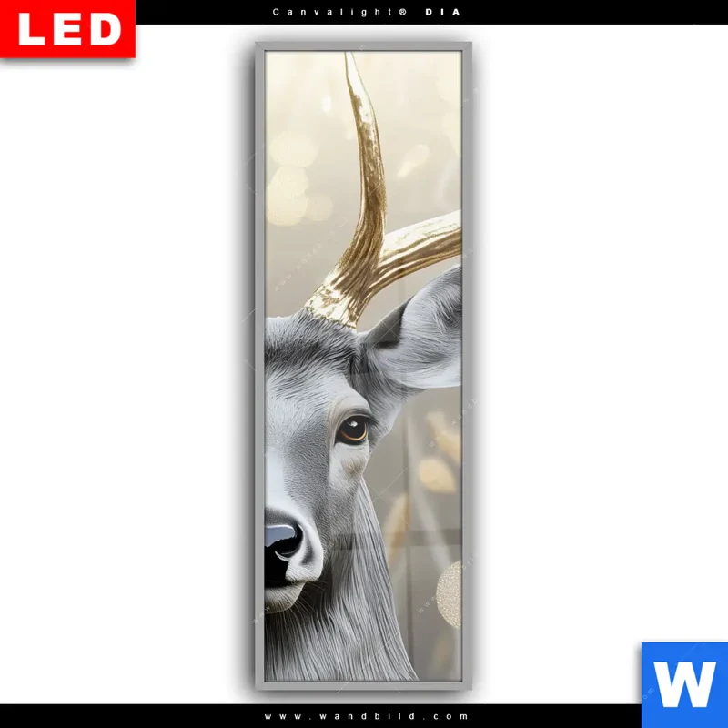 Leuchtbild Acrylglas Canvalight® DIA | Hirsch mit goldenem Geweih | Schmal