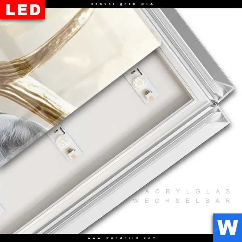 Leuchtbild Acrylglas Canvalight® DIA | Hirsch mit goldenem Geweih | Schmal