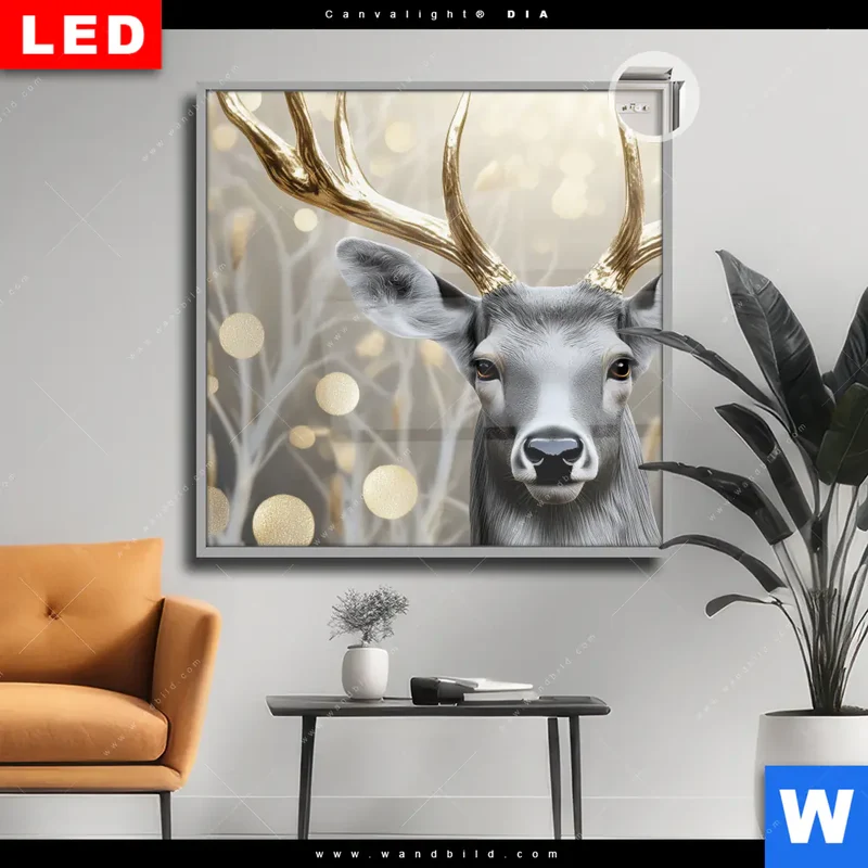 Leuchtbild Acrylglas Canvalight® DIA | Hirsch mit goldenem Geweih | Quadrat