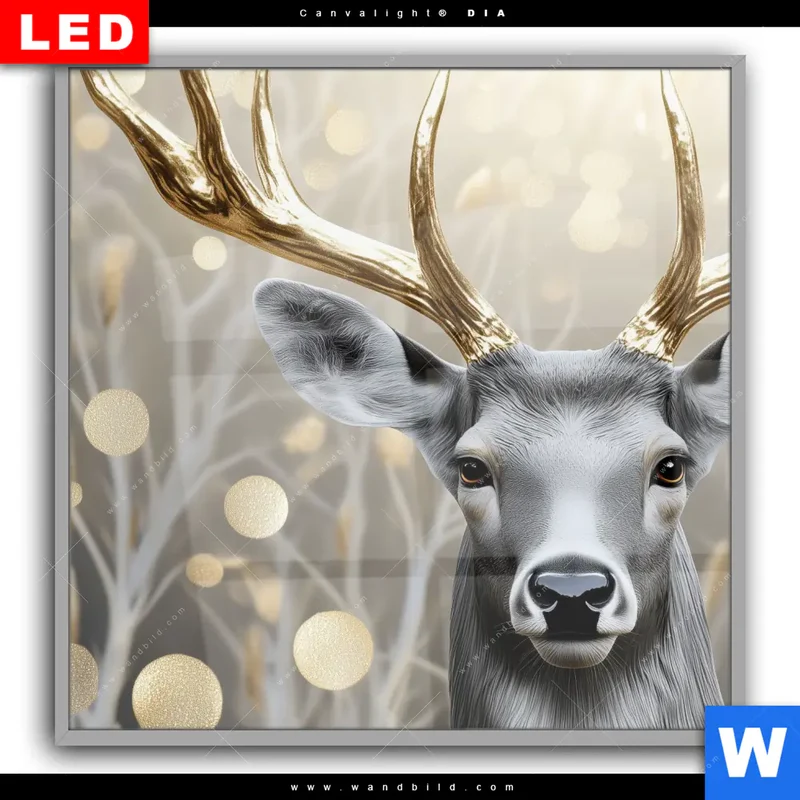 Leuchtbild Acrylglas Canvalight® DIA | Hirsch mit goldenem Geweih | Quadrat