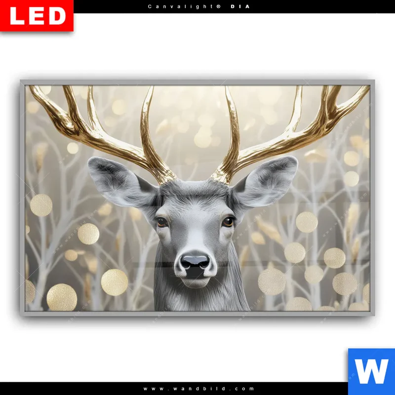 Leuchtbild Acrylglas Canvalight® DIA | Hirsch mit goldenem Geweih | Querformat
