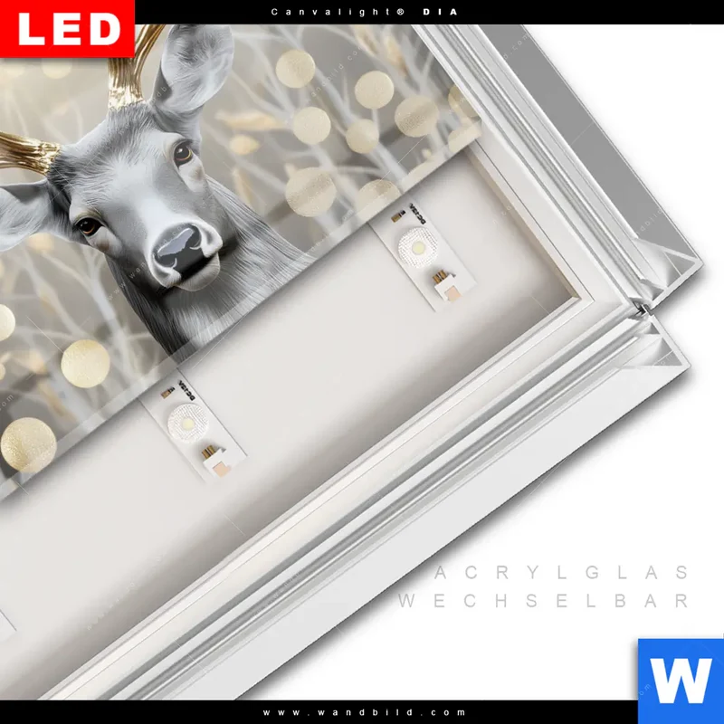 Leuchtbild Acrylglas Canvalight® DIA | Hirsch mit goldenem Geweih | Querformat