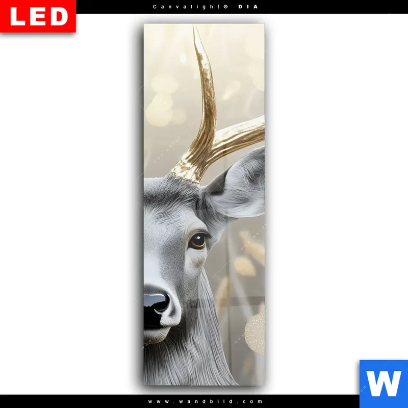 Wechselmotiv Acrylglas Canvalight® DIA | Hirsch mit goldenem Geweih | Schmal