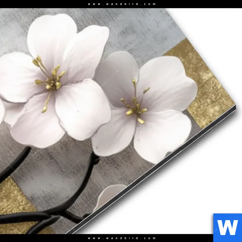 Alu-Dibond Bild | Kirschblüten in goldener Harmonie | Panorama