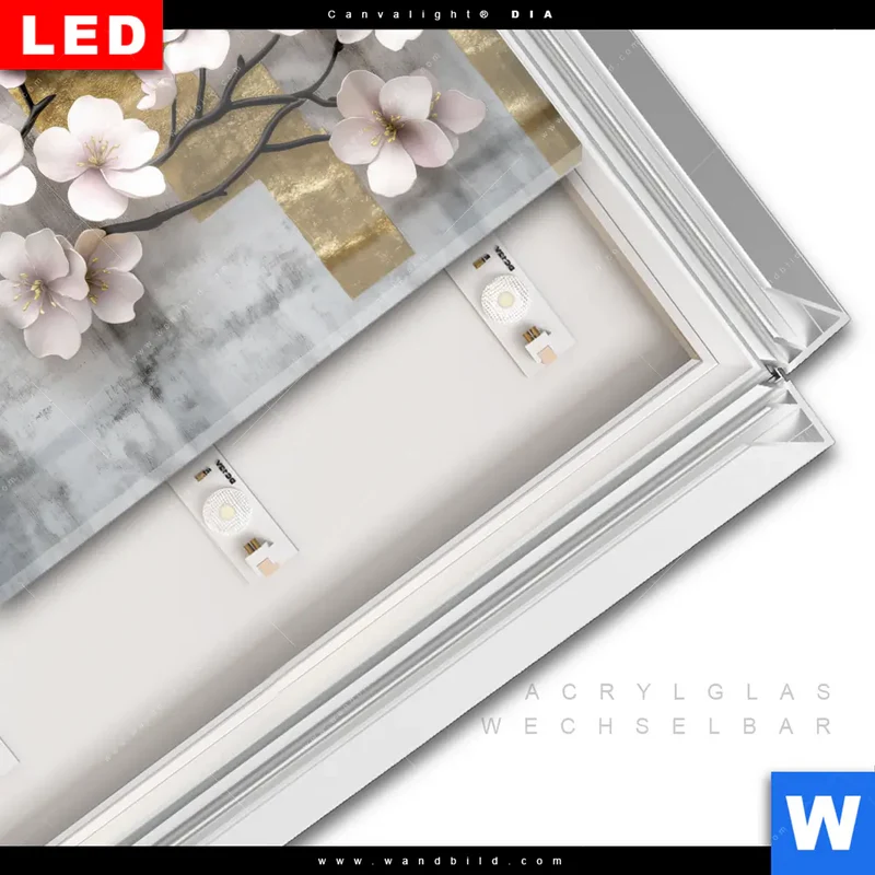 Leuchtbild Acrylglas Canvalight® DIA | Kirschblüten in goldener Harmonie | Querformat