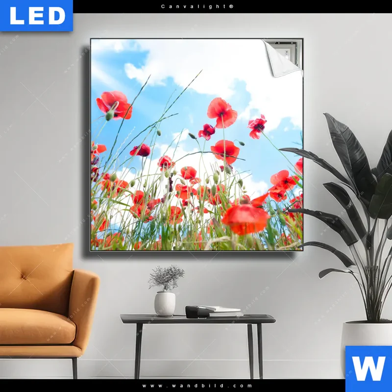 Canvalight® Leuchtbild | Mohnblüten unter sommerlichem Himmel | Quadrat