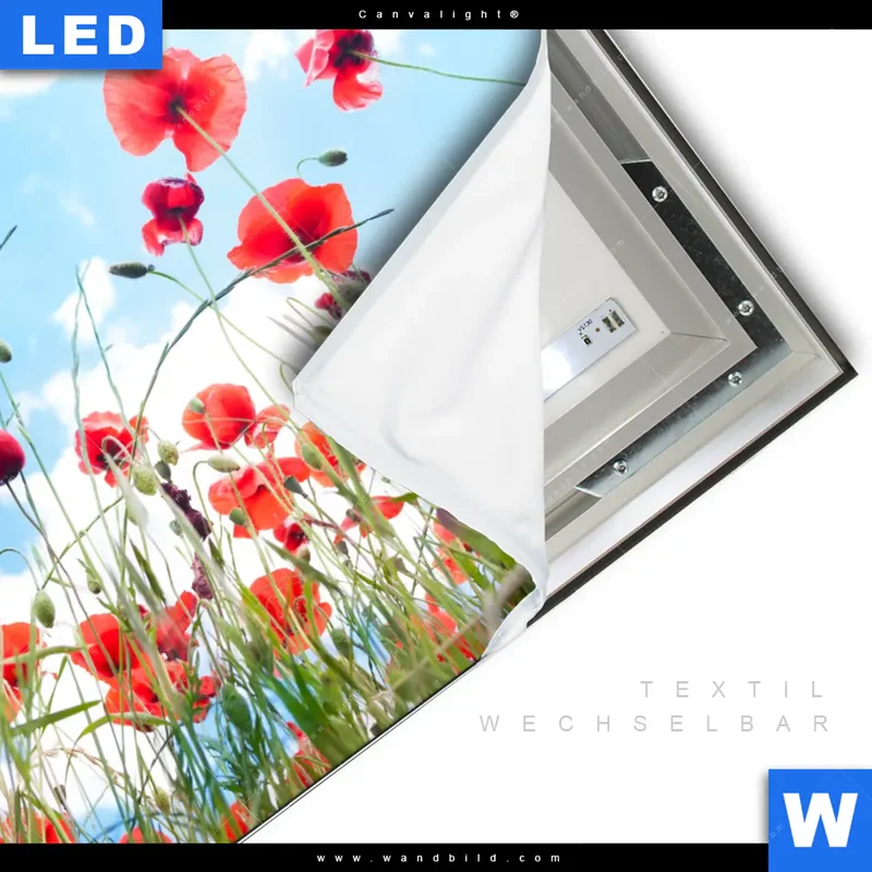 Canvalight® Leuchtbild | Mohnblüten unter sommerlichem Himmel | Quadrat