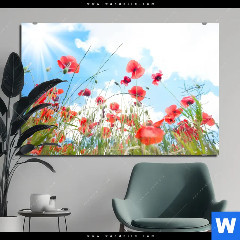 Acrylglasbild | Mohnblüten unter sommerlichem Himmel | Querformat