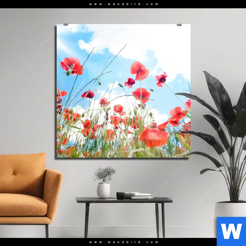 Acrylglasbild | Mohnblüten unter sommerlichem Himmel | Quadrat