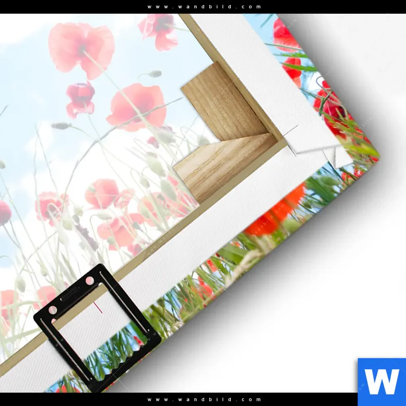 Leinwandbild | Mohnblüten unter sommerlichem Himmel | Quadrat