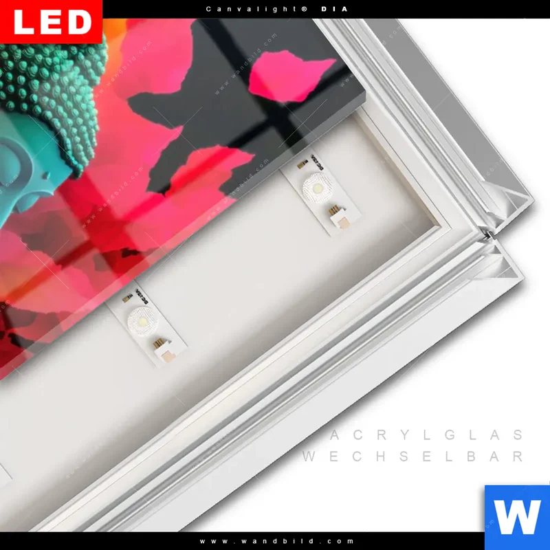 Leuchtbild Acrylglas Canvalight® DIA | Meditierender Buddha | Schmal