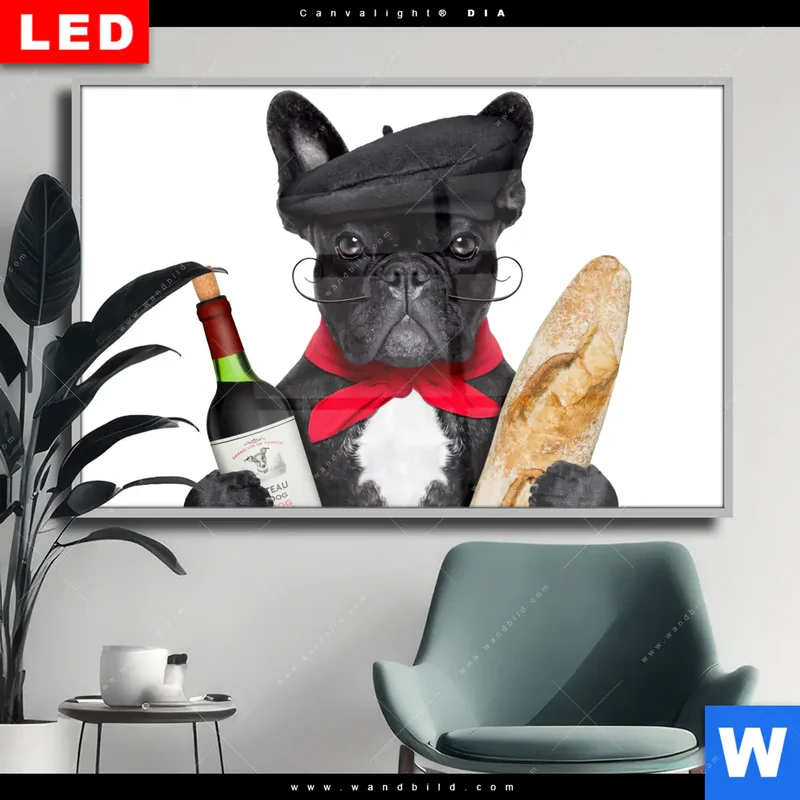Wechselmotiv Acrylglas Canvalight® DIA | Französischer Bulldoggen-Charme mit Baguette & Wein | Querformat