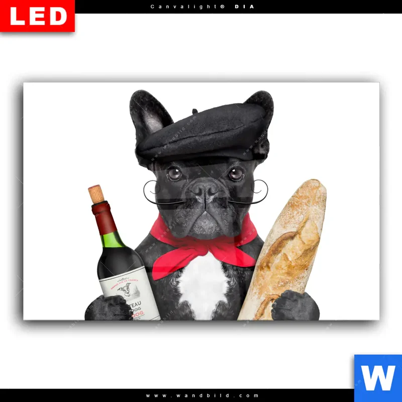 Wechselmotiv Acrylglas Canvalight® DIA | Französischer Bulldoggen-Charme mit Baguette & Wein | Querformat