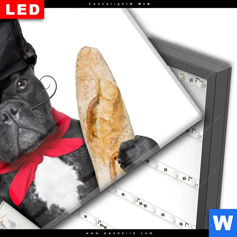 Wechselmotiv Acrylglas Canvalight® DIA | Französischer Bulldoggen-Charme mit Baguette & Wein | Querformat