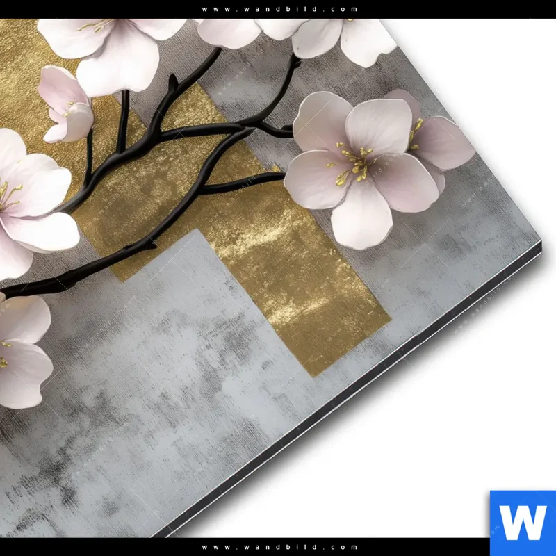 Alu-Dibond Bild | Kirschblüten in goldener Harmonie | Quadrat