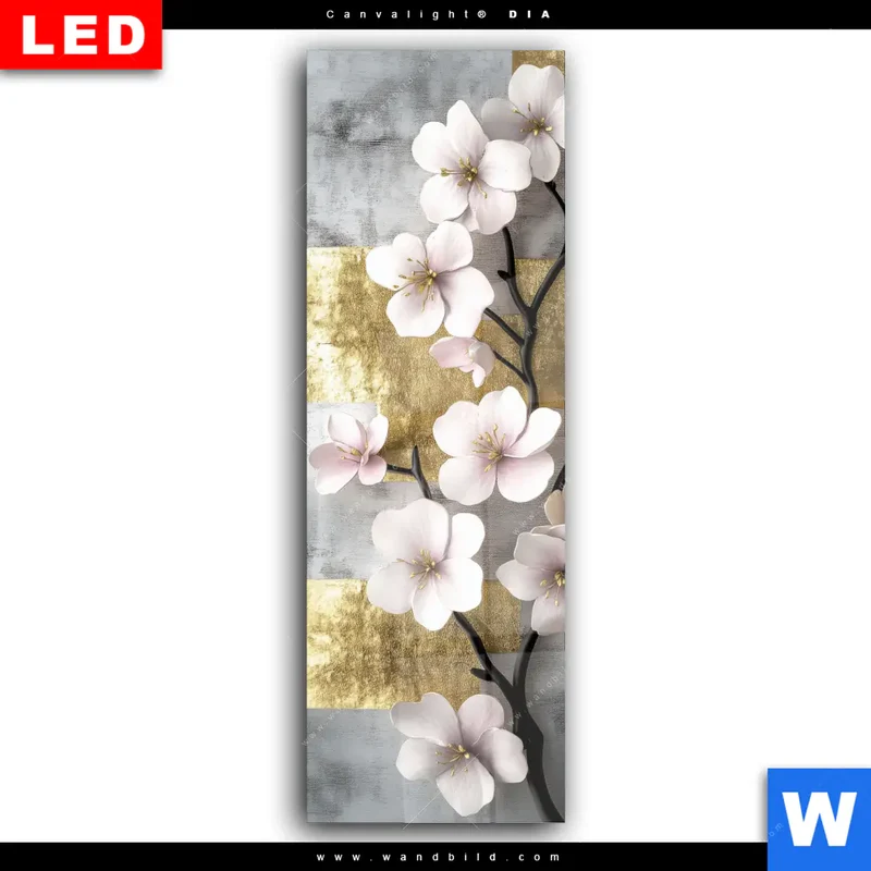 Wechselmotiv Acrylglas Canvalight® DIA | Kirschblüten in goldener Harmonie | Schmal