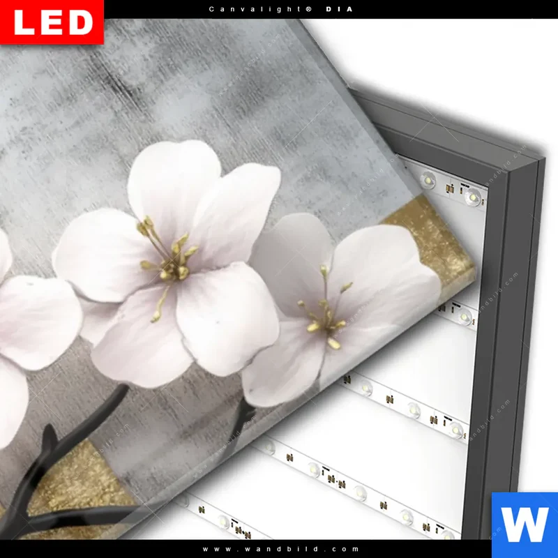 Wechselmotiv Acrylglas Canvalight® DIA | Kirschblüten in goldener Harmonie | Schmal