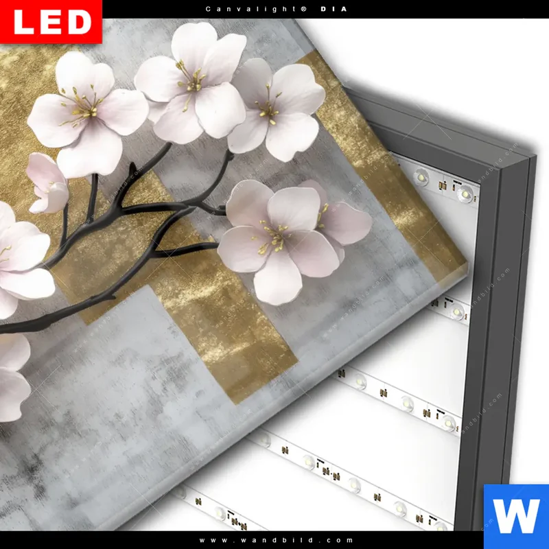 Wechselmotiv Acrylglas Canvalight® DIA | Kirschblüten in goldener Harmonie | Hochformat