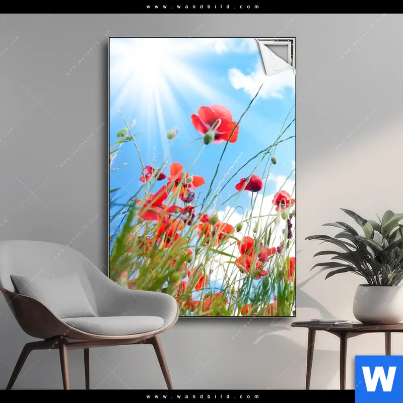 Spannbild | Mohnblüten unter sommerlichem Himmel | Hochformat