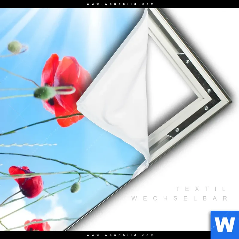 Spannbild | Mohnblüten unter sommerlichem Himmel | Hochformat
