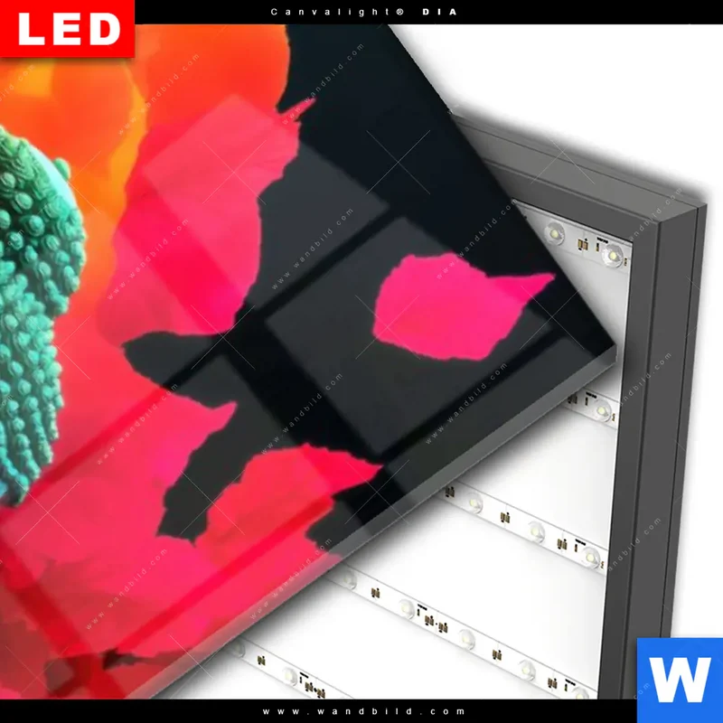 Wechselmotiv Acrylglas Canvalight® DIA | Meditierender Buddha | Schmal