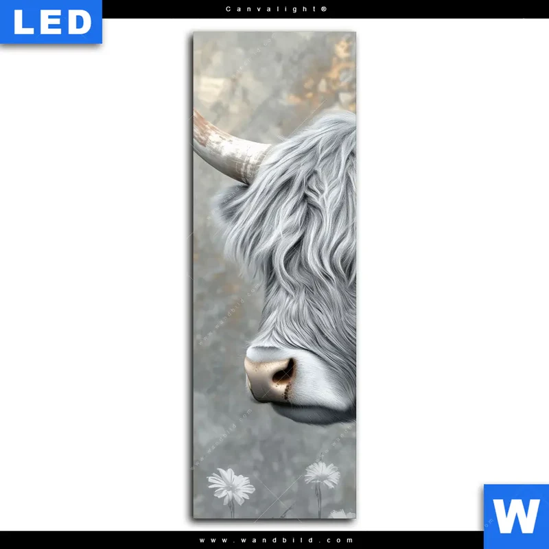 Canvalight® Leuchtbild | Hochlandkuh - Sanfte Stärke | Schmal