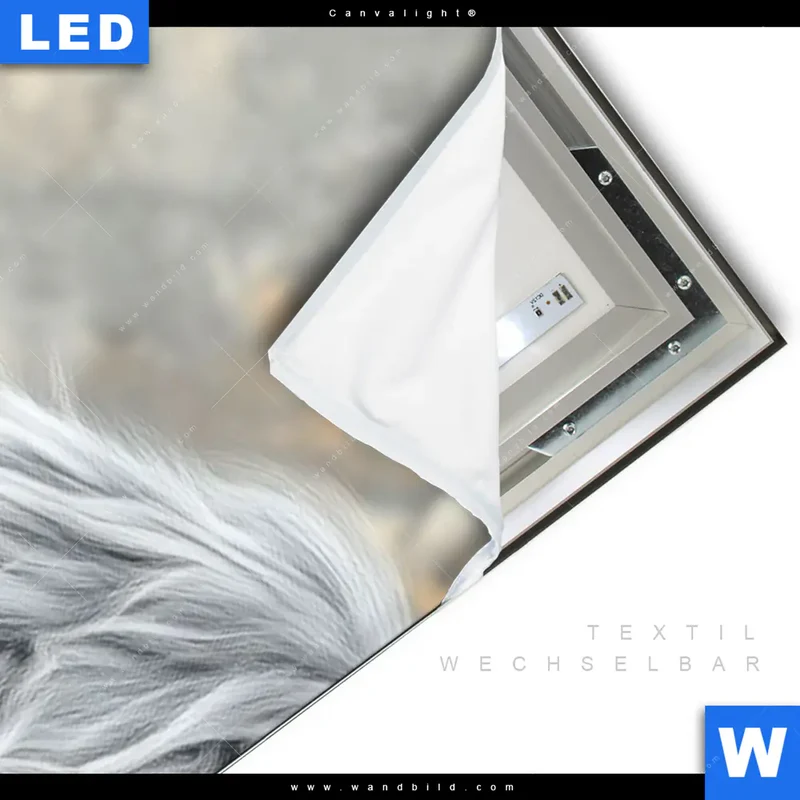 Canvalight® Leuchtbild | Hochlandkuh - Sanfte Stärke | Schmal